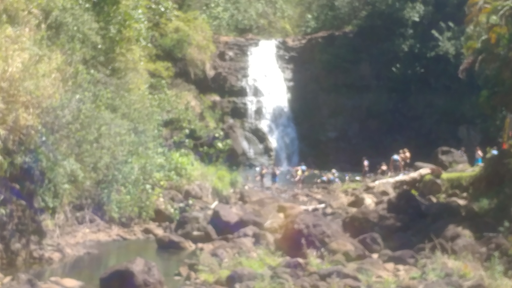 Manoa Falls, Honolulu County, Hawaii